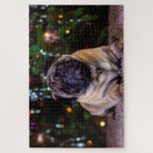 Pug honden. legpuzzel (Verticaal)