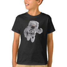 Pug in de ruimte