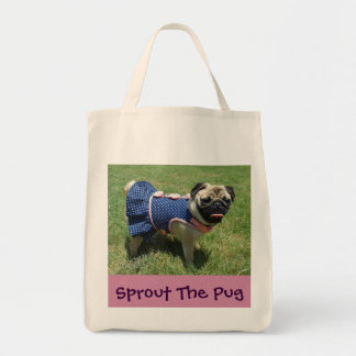 Pug in een damp tote bag