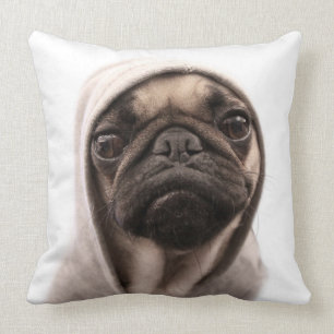 Pug in een hodie kussen