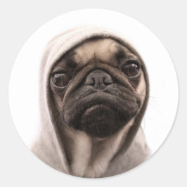 Pug in een hodie ronde sticker