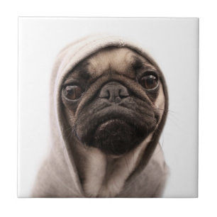 Pug in een hodie tegeltje