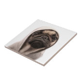 Pug in een hodie tegeltje (Zijkant)