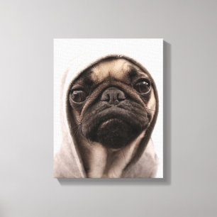 Pug in een Hoodie Canvas Afdruk