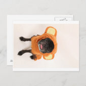 pug in het kostuum van de aap briefkaart (Voorkant / Achterkant)