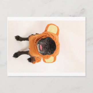 pug in het kostuum van de aap briefkaart