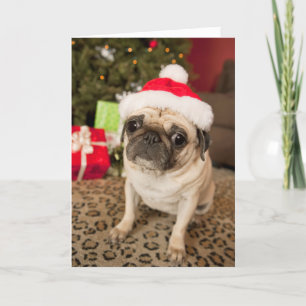 Pug in Santa Claus Pet, zittend op tapijt Feestdagen Kaart
