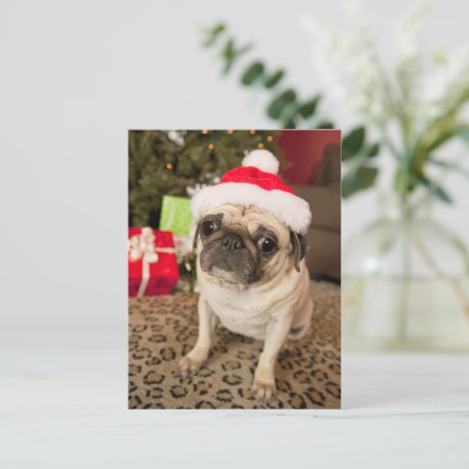 Pug in Santa Claus Pet zittend op tapijt Feestdagenkaart (Staand voorkant)