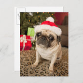 Pug in Santa Claus Pet zittend op tapijt Feestdagenkaart (Voorkant / Achterkant)