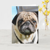Pug Kaart (Gele Bloem)