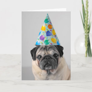 Pug Kaart