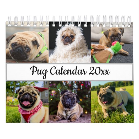 Pug Kalender (Hoes)