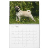 Pug Kalender (Mar 2026)
