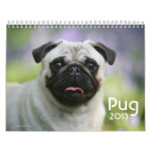 Pug Kalender (Hoes)