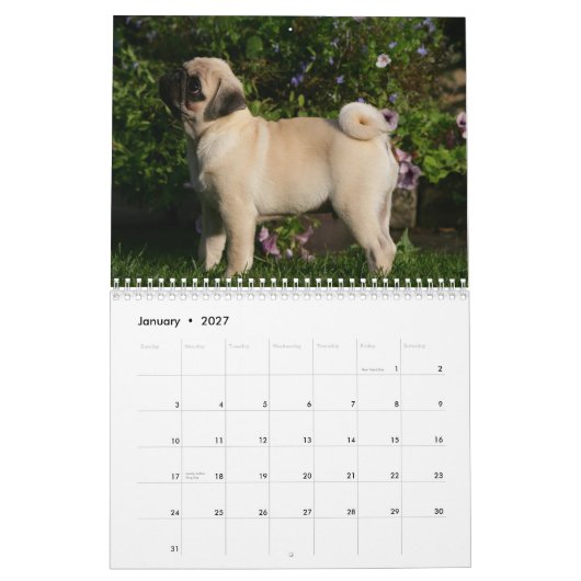 Pug Kalender (Jan 2027)