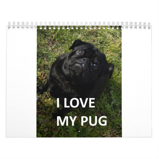 Pug Kalender (Hoes)