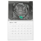 pug-kalender kalender (Feb 2026)