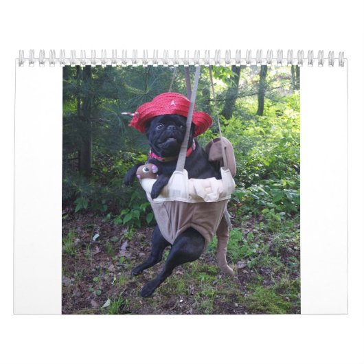 pug-kalender kalender (Hoes)