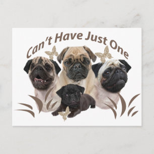 Pug kan niet slechts één apper en cadeaus hebben briefkaart