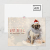 Pug Kerstkaart Feestdagenkaart (Voorkant / Achterkant)