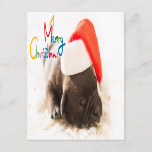 Pug Kerstmis Briefkaart