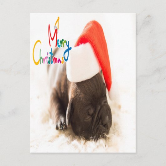 Pug Kerstmis Briefkaart (Voorkant)