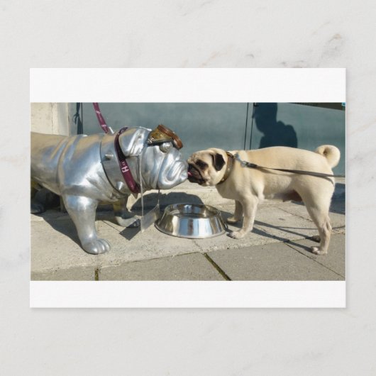 Pug kisses briefkaart (Voorkant)