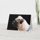 Pug Knuffels & Kusjes Verjaardag Kaart Focus voor (Voorkant)