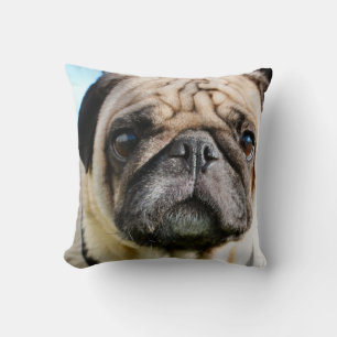 Pug Kussen