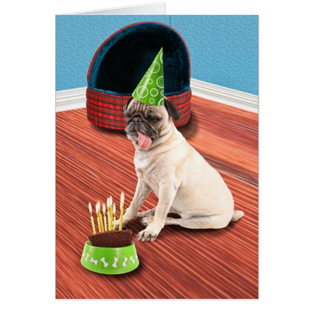 Pug Lick (Voorkant)