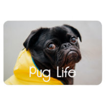 "Pug Life" Volledig bewerkbare fotomagneet