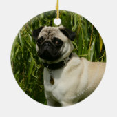 Pug Looking in camera Keramisch Ornament (Achterkant)