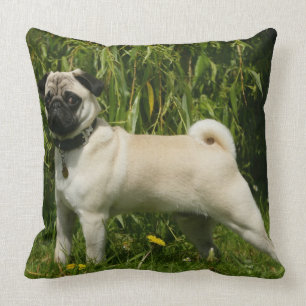 Pug Looking in camera Kussen