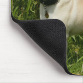 Pug Looking in camera Muismat (Hoek)