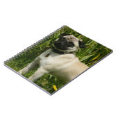 Pug Looking in camera Notitieboek (Linkerzijde)