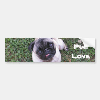 Pug Love Bumpersticker