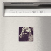 Pug Magneet (Insitu (Vaatwasser))