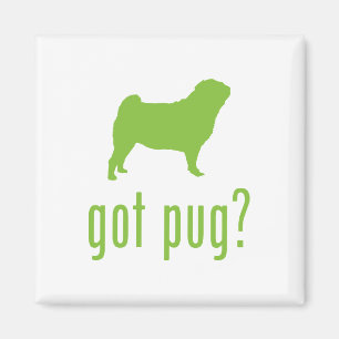Pug Magneet