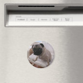 Pug Magnet Machi Magneet (Insitu (Vaatwasser))