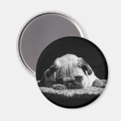 Pug magnet magneet (Voorkant / Achterkant)