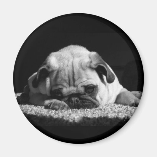 Pug magnet magneet (Voorkant)