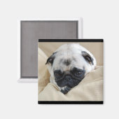 Pug Magnet Magneet (Voorkant / Achterkant)