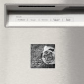 Pug magnet magneet (Insitu (Vaatwasser))