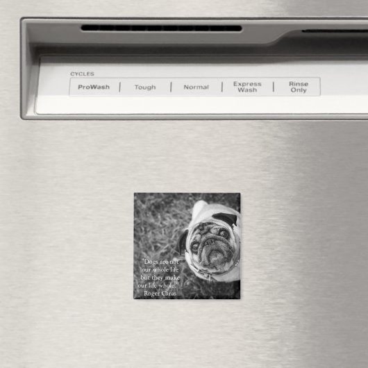 Pug magnet magneet (Insitu (Vaatwasser))