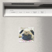 Pug magnet magneet (Insitu (Vaatwasser))