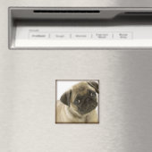Pug Magnet Magneet (Insitu (Vaatwasser))