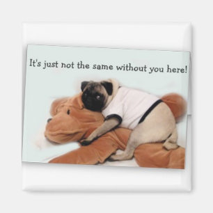 pug magnet magneet