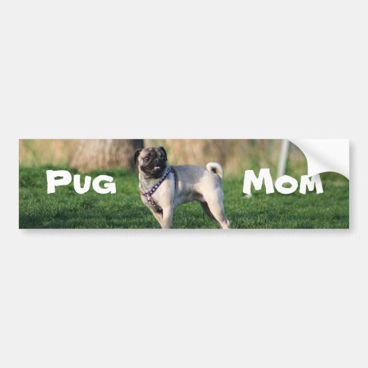 Pug mamommotorsticker bumpersticker (Voorkant)