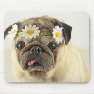 Pug met Daisy Crown Muismat