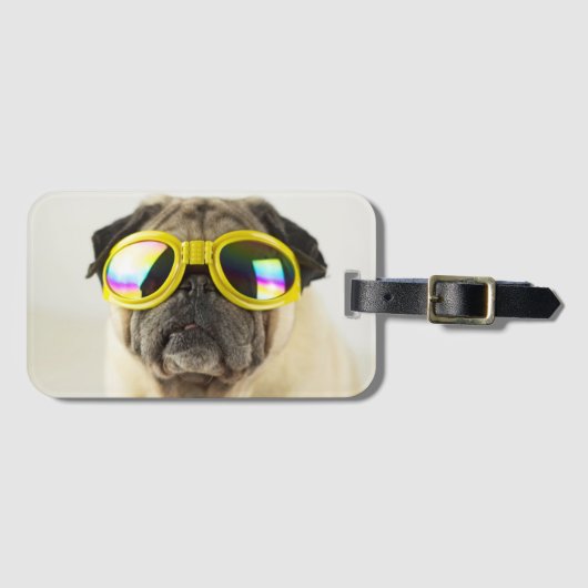 Pug met Goggles Bagagelabel (Voorkant (horizontaal))